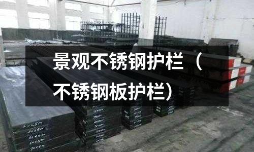 景觀不銹鋼護欄(不銹鋼板護欄)