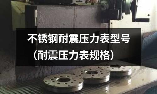 不銹鋼耐震壓力表型號(hào)(耐震壓力表規(guī)格)