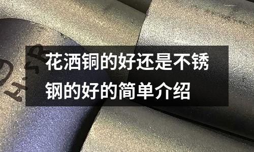 花灑銅的好還是不銹鋼的好的簡單介紹