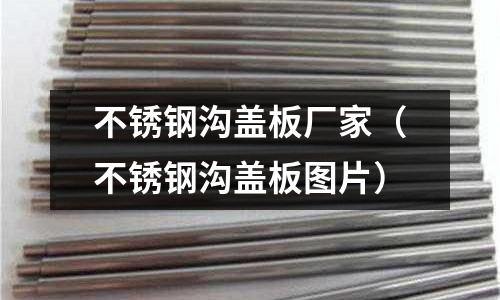 不銹鋼溝蓋板廠家(不銹鋼溝蓋板圖片)