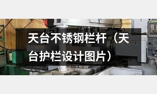 天臺不銹鋼欄桿（天臺護欄設計圖片）