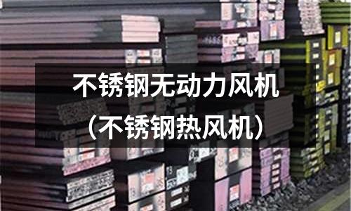 不銹鋼無動力風機(不銹鋼熱風機)