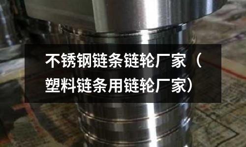 不銹鋼鏈條鏈輪廠家(塑料鏈條用鏈輪廠家)