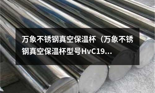 萬象不銹鋼真空保溫杯（萬象不銹鋼真空保溫杯型號HvC19102一46L價格）