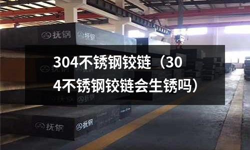 304不銹鋼鉸鏈（304不銹鋼鉸鏈會生銹嗎）