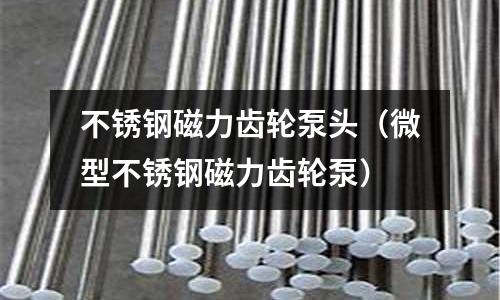 不銹鋼磁力齒輪泵頭(微型不銹鋼磁力齒輪泵)