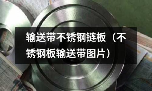 輸送帶不銹鋼鏈板(不銹鋼板輸送帶圖片)