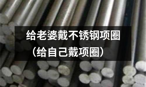 給老婆戴不銹鋼項圈(給自己戴項圈)