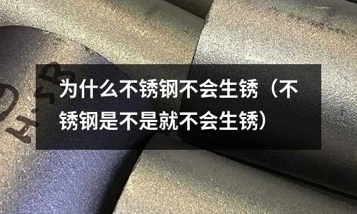 為什么不銹鋼不會生銹（不銹鋼是不是就不會生銹）