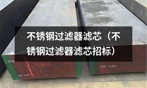 不銹鋼過濾器濾芯(不銹鋼過濾器濾芯招標)