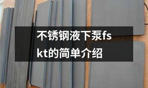 不銹鋼液下泵fskt的簡單介紹