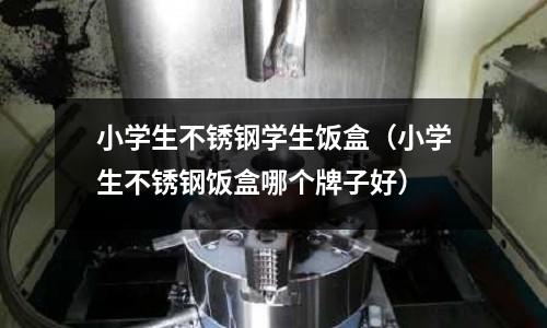 小學生不銹鋼學生飯盒（小學生不銹鋼飯盒哪個牌子好）