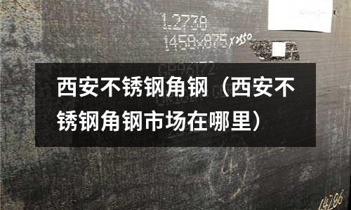 西安不銹鋼角鋼(西安不銹鋼角鋼市場在哪里)