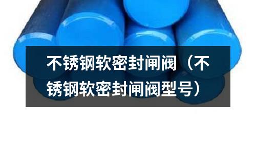 不銹鋼軟密封閘閥(不銹鋼軟密封閘閥型號(hào))