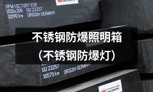 不銹鋼防爆照明箱(不銹鋼防爆燈)