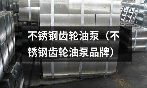 不銹鋼齒輪油泵(不銹鋼齒輪油泵品牌)