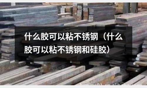 什么膠可以粘不銹鋼（什么膠可以粘不銹鋼和硅膠）