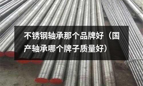 不銹鋼軸承那個(gè)品牌好（國產(chǎn)軸承哪個(gè)牌子質(zhì)量好）