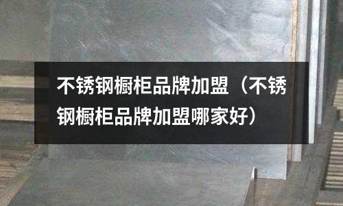 不銹鋼櫥柜品牌加盟(不銹鋼櫥柜品牌加盟哪家好)