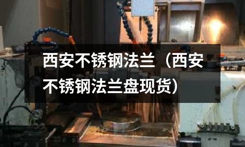 西安不銹鋼法蘭(西安不銹鋼法蘭盤現(xiàn)貨)