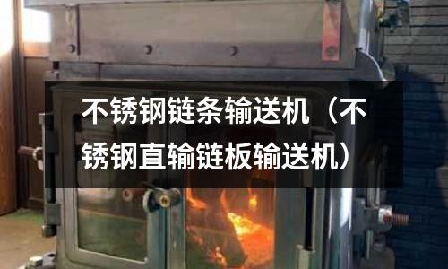 不銹鋼鏈條輸送機(不銹鋼直輸鏈板輸送機)