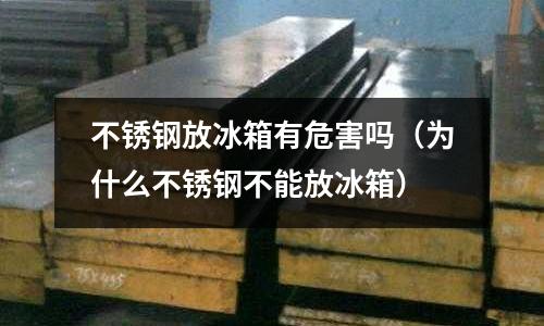 不銹鋼放冰箱有危害嗎(為什么不銹鋼不能放冰箱)