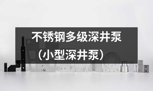 不銹鋼多級(jí)深井泵(小型深井泵)