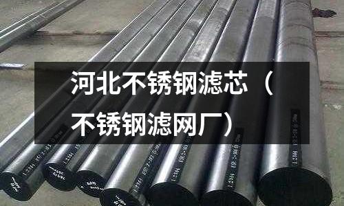 河北不銹鋼濾芯(不銹鋼濾網廠)