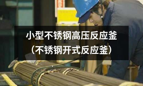 小型不銹鋼高壓反應(yīng)釜(不銹鋼開式反應(yīng)釜)