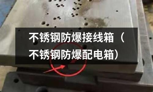 不銹鋼防爆接線箱(不銹鋼防爆配電箱)
