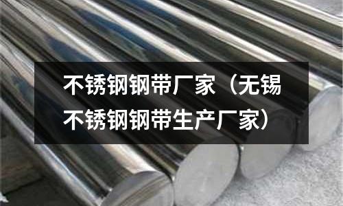 不銹鋼鋼帶廠家(無錫不銹鋼鋼帶生產廠家)