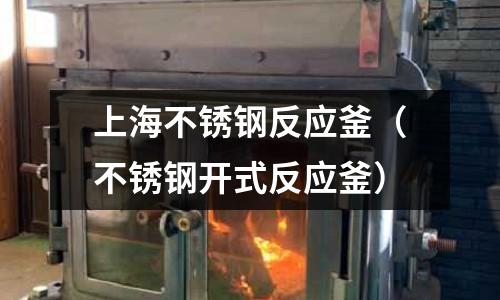 上海不銹鋼反應釜(不銹鋼開式反應釜)