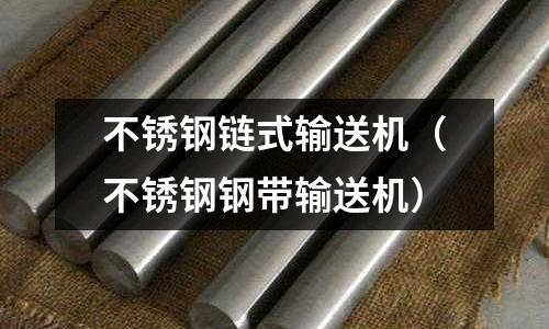 不銹鋼鏈式輸送機(不銹鋼鋼帶輸送機)