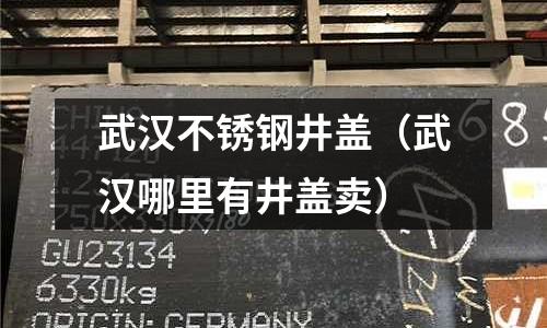 武漢不銹鋼井蓋（武漢哪里有井蓋賣）