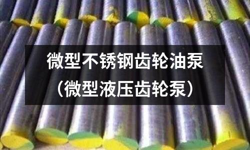 微型不銹鋼齒輪油泵(微型液壓齒輪泵)