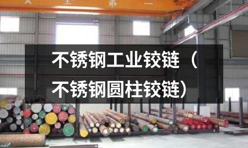 不銹鋼工業鉸鏈(不銹鋼圓柱鉸鏈)