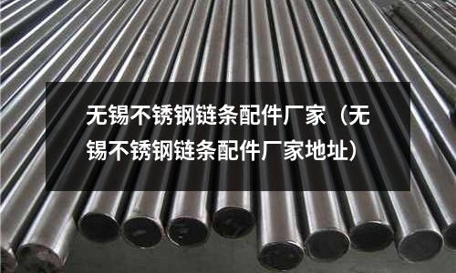 無錫不銹鋼鏈條配件廠家(無錫不銹鋼鏈條配件廠家地址)