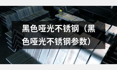 黑色啞光不銹鋼（黑色啞光不銹鋼參數）