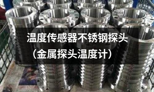 溫度傳感器不銹鋼探頭(金屬探頭溫度計)