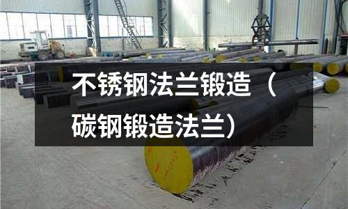 不銹鋼法蘭鍛造(碳鋼鍛造法蘭)