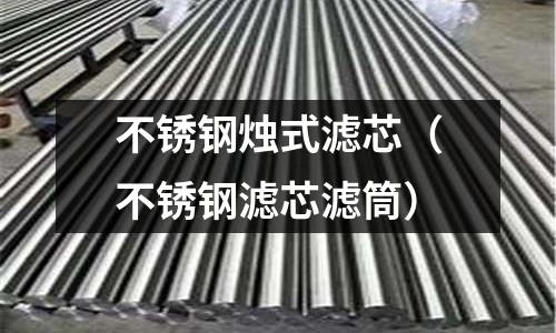 不銹鋼燭式濾芯(不銹鋼濾芯濾筒)