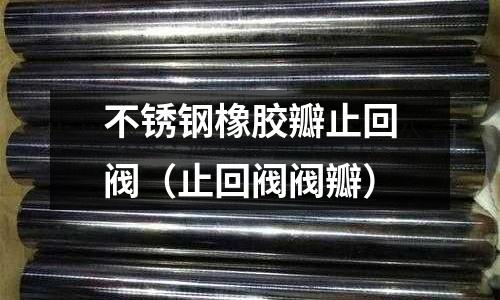 不銹鋼橡膠瓣止回閥（止回閥閥瓣）