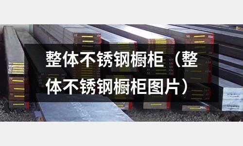 整體不銹鋼櫥柜(整體不銹鋼櫥柜圖片)