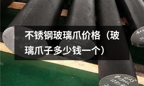 不銹鋼玻璃爪價格(玻璃爪子多少錢一個)