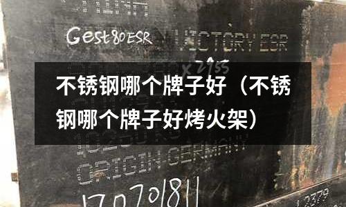 不銹鋼哪個牌子好(不銹鋼哪個牌子好烤火架)