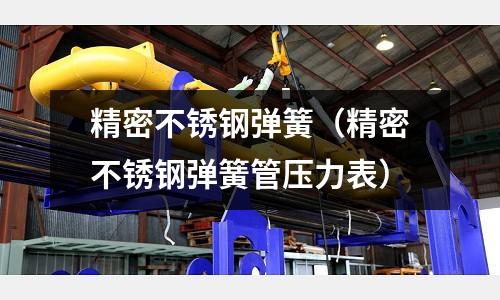 精密不銹鋼彈簧（精密不銹鋼彈簧管壓力表）