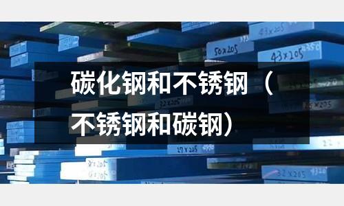碳化鋼和不銹鋼(不銹鋼和碳鋼)