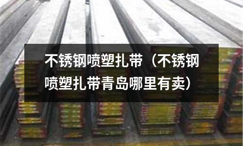 不銹鋼噴塑扎帶(不銹鋼噴塑扎帶青島哪里有賣)