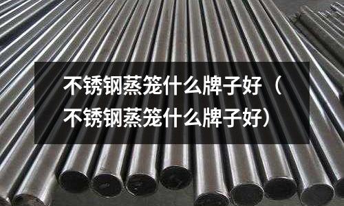 不銹鋼蒸籠什么牌子好(不銹鋼蒸籠什么牌子好)