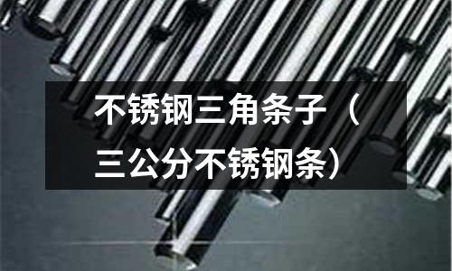 不銹鋼三角條子（三公分不銹鋼條）